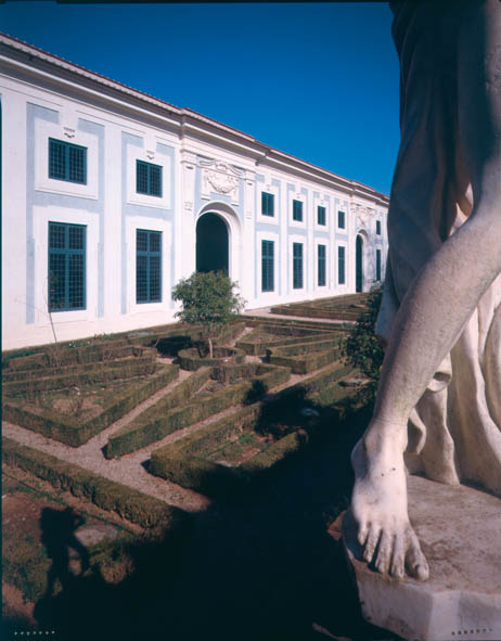 limonaia02
